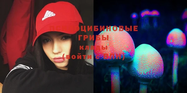 гашишное масло Гусев