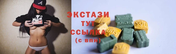 тгк Гусь-Хрустальный