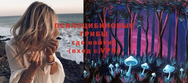 метадон Гусиноозёрск