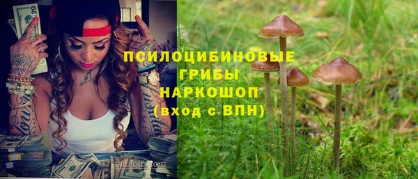 метадон Гусиноозёрск