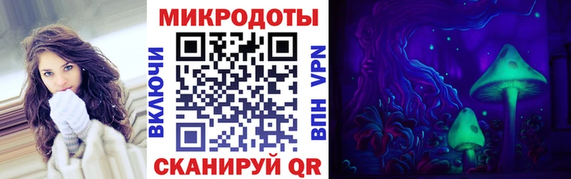 Купить закладки  Ладушкин  Псилоцибиновые грибы прущие грибы 